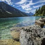 Weber Alpenveilchen 렉브룩