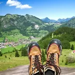 Weber Alpenveilchen *