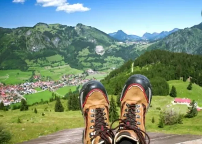 Weber Alpenveilchen *